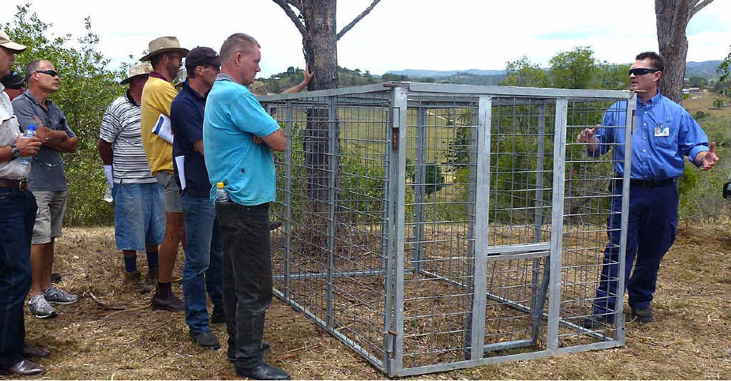Ben Curley shows attendees how a feral pig trap is used. Ben Curley shows attendees how a feral pig trap is used.
